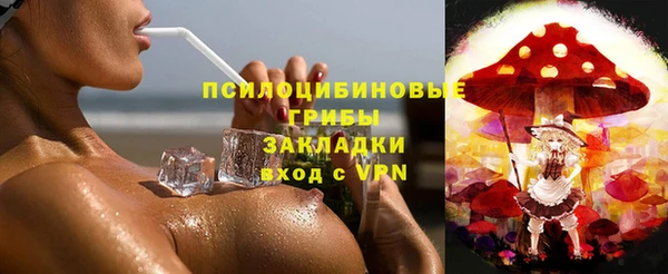 винт Наволоки