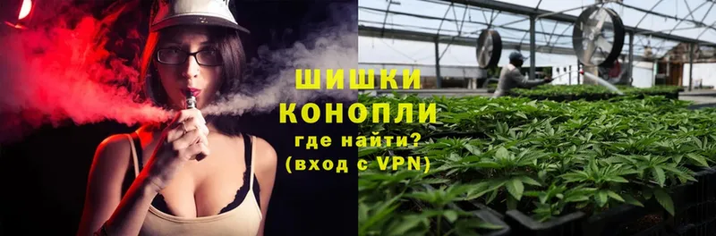 MEGA ссылка  Ладушкин  Бошки Шишки White Widow 